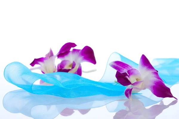 Orchid. isolatie — Stockfoto
