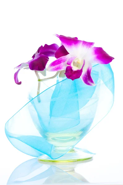 Orchidej. izolace — Stock fotografie