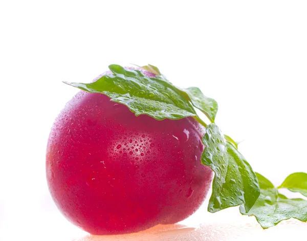 Fresh plum on white isolated — Stock Photo, Image