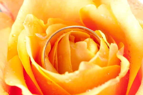Snubní prsten — Stock fotografie