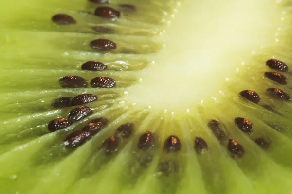 stock image Green Kiwi