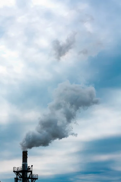 Kouř od stonku — Stock fotografie