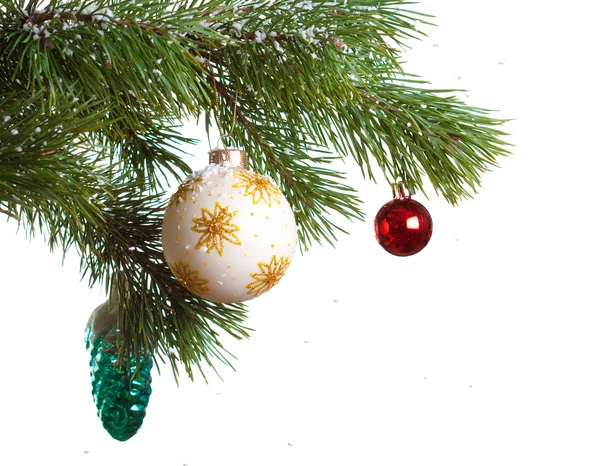 고립 된 크리스마스 전나무 — 스톡 사진