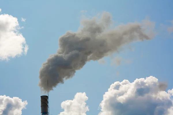 stock image Smoke from the stalk