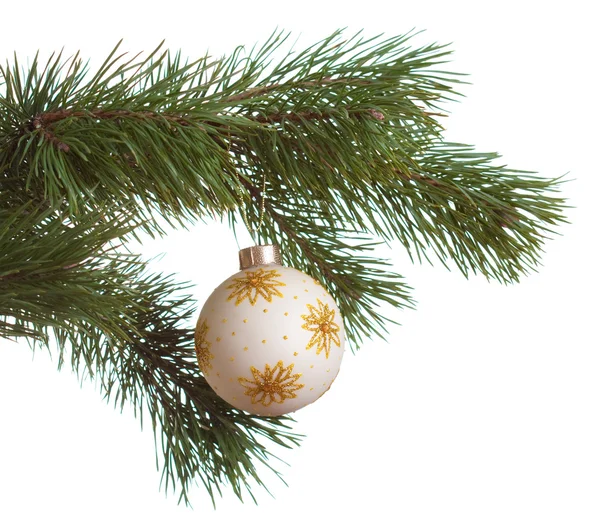 Christmas fir isolated — Stock Photo, Image