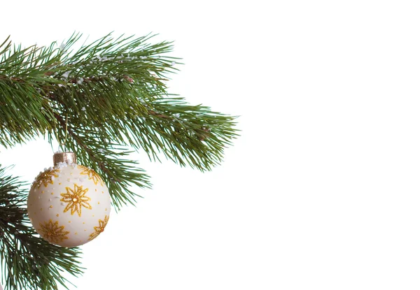 Christmas fir isolated — Stock Photo, Image