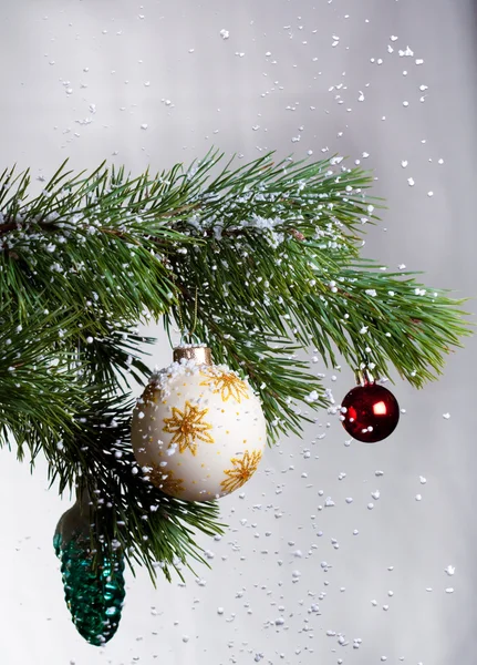 Рождественская ель — стоковое фото