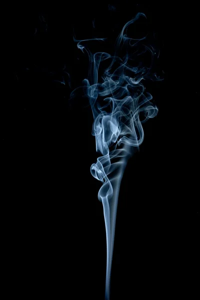 Mooie rook — Stockfoto