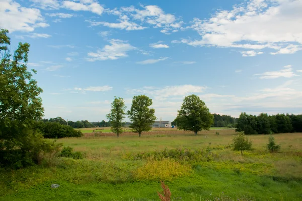 Rural grassland — Stock Photo, Image