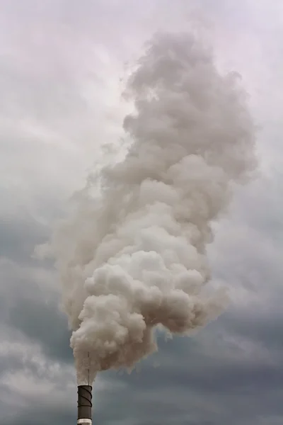 Sapı duman — Stok fotoğraf