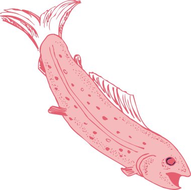 güzel balık vektör