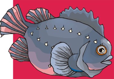 Beautiful Fish Vector On Background