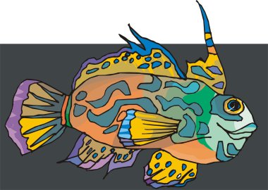 Beautiful Fish Vector On Background