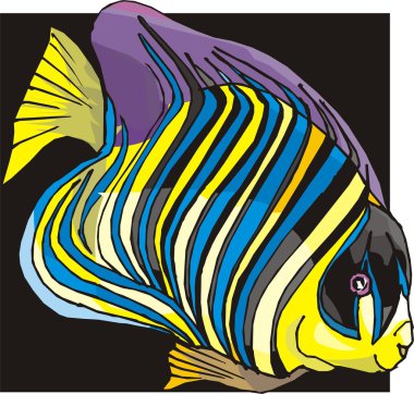 Beautiful Fish Vector On Background