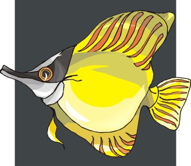 Beautiful Fish Vector On Background