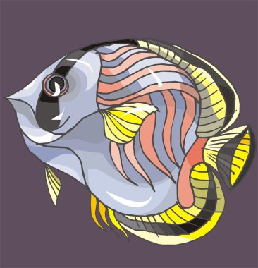 Beautiful Fish Vector On Background