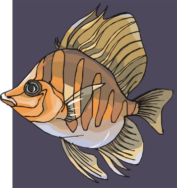 Beautiful Fish Vector On Background