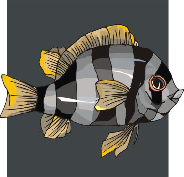 Beautiful Fish Vector On Background