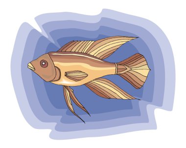 Beautiful Fish Vector On Background