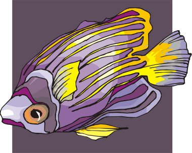 Beautiful Fish Vector On Background