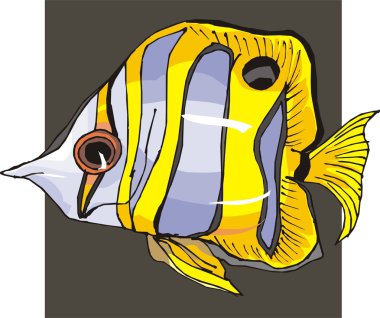 Beautiful Fish Vector On Background