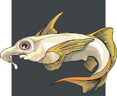 Beautiful Fish Vector On Background