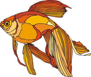 Beautiful Fish Vector On Background