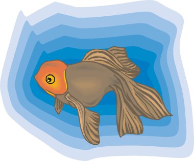 Beautiful Fish Vector On Background