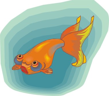 Beautiful Fish Vector On Background