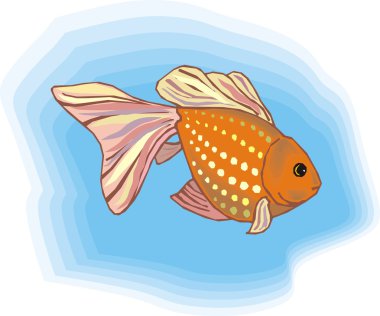 Beautiful Fish Vector On Background