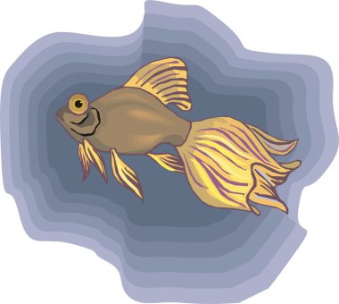 Beautiful Fish Vector On Background