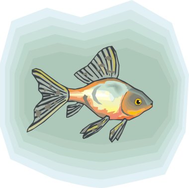 Beautiful Fish Vector On Background