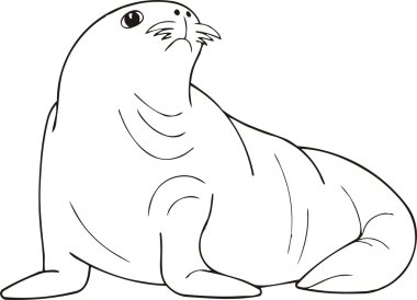 Vector illustration of a seal. clipart