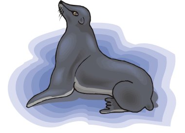 Vector illustration of a seal. clipart