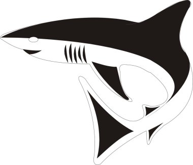 Shark Vector Illustration clipart