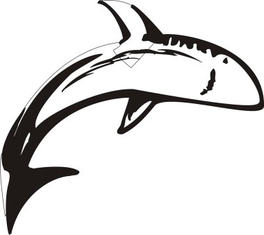 Shark Vector Illustration clipart