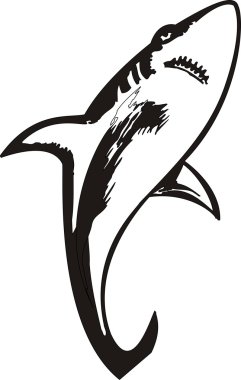 Shark Vector Illustration clipart