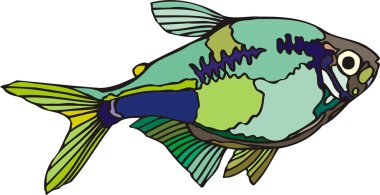 Beautiful Fish Vector On Background