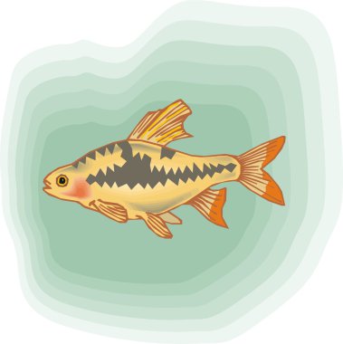 Beautiful Fish Vector On Background