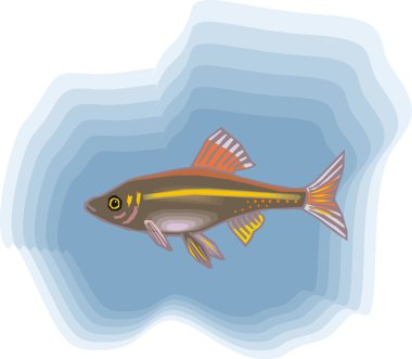 Beautiful Fish Vector On Background