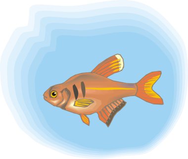 Beautiful Fish Vector On Background