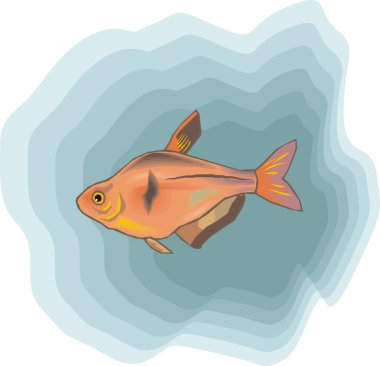 Beautiful Fish Vector On Background