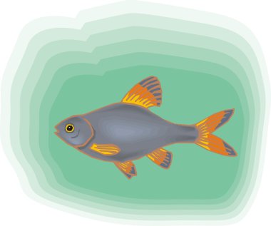 Beautiful Fish Vector On Background