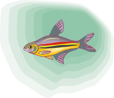 Beautiful Fish Vector On Background