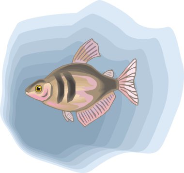 Beautiful Fish Vector On Background