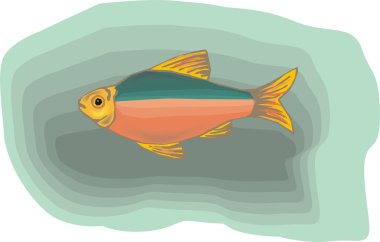 Beautiful Fish Vector On Background