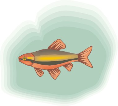 Beautiful Fish Vector On Background