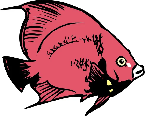Beautiful Fish Vector — Stock Vector