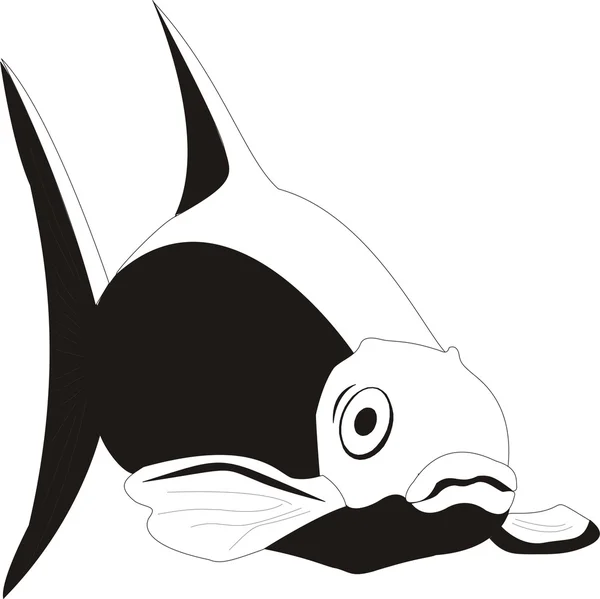 Gyönyörű hal vektor — Stock Vector