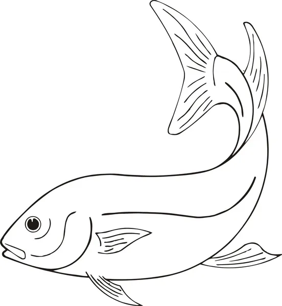 Fish Vector — стоковый вектор